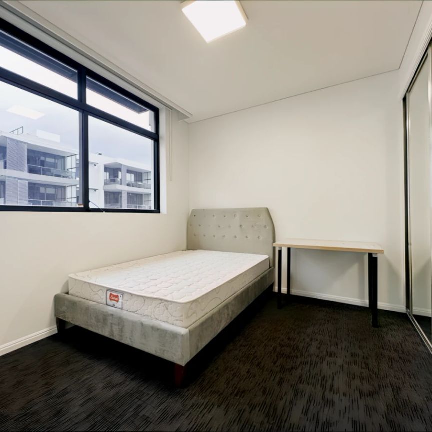 3 Bed 2 Bath-503 Bed 2 - Photo 1