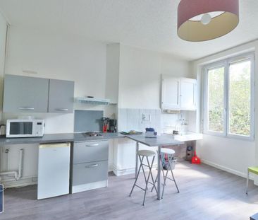 Location Appartement 1 pièce 25m² ST ETIENNE 42000 - Photo 6