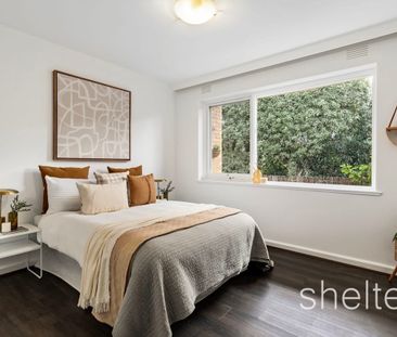 2/247 Burke Road, Glen Iris VIC 3146 - Apartment For Rent | Domain - Photo 3