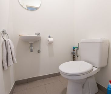 Sea flower - Photo 5