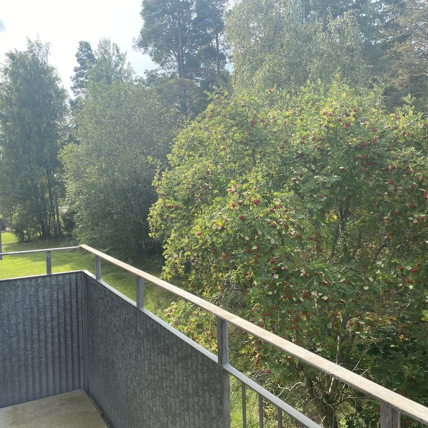 Rånäsvägen, Rimbo - Foto 1