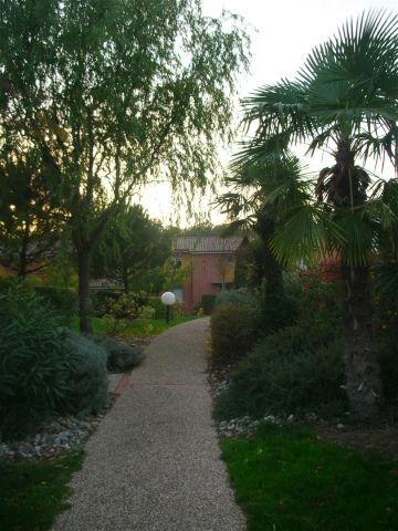 Location appartement 2 pièces - 59.07m² à Fonbeauzard (31140) - Photo 2