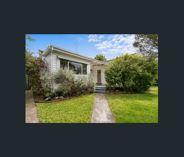 Live Central - Walk To It All! - Photo 6