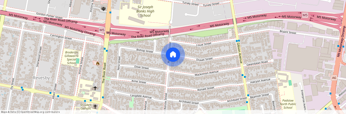 38 MacKenzie Street, NSW 2212, Revesby