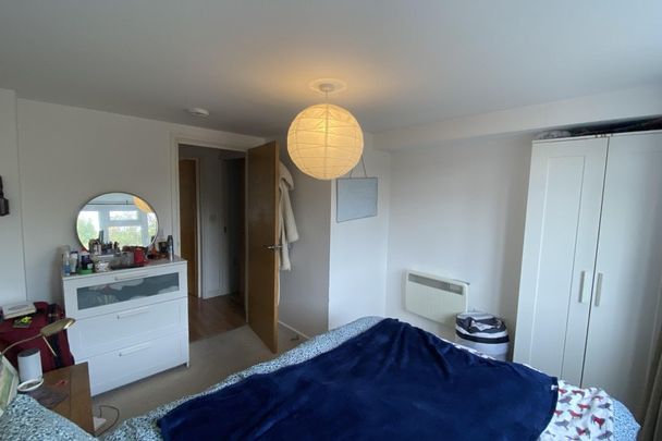 The Avenue - Photo 1