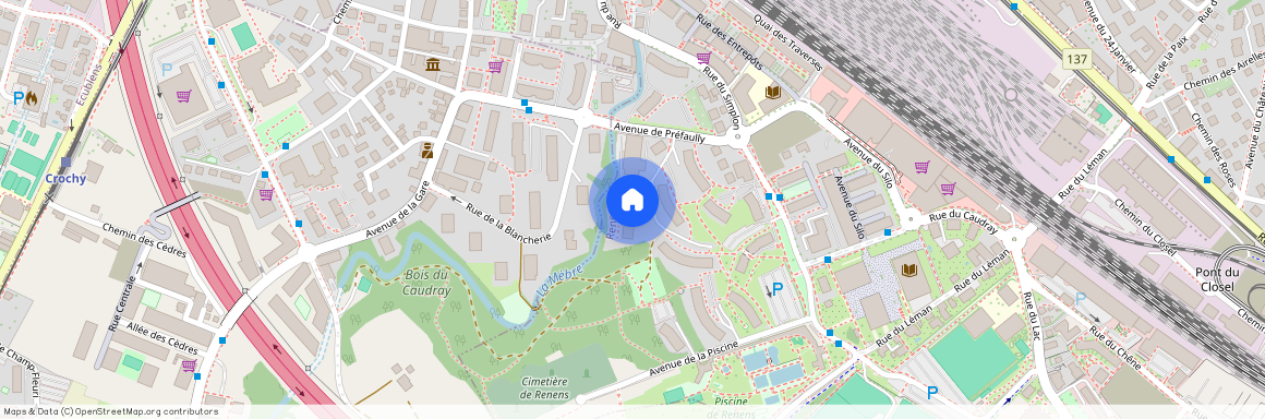 1020, Renens, Avenue De Préfaully, 34