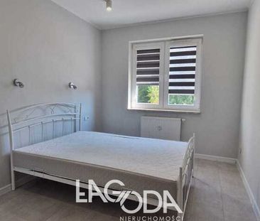 Gorzów Wielkopolski - Photo 6