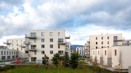 WirtschaftseinheitBADEN-LEESDORF I/1-5 - Photo 5