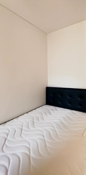 6 Paul Street, Zetland, Sydney - Photo 2