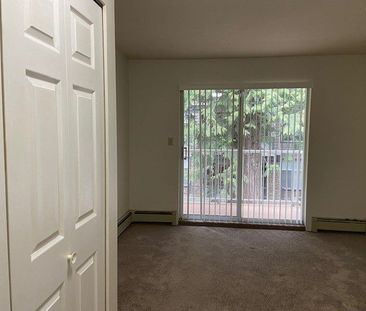 MAYFAIR VILLAGE WEST 1BD/1BA - Photo 2