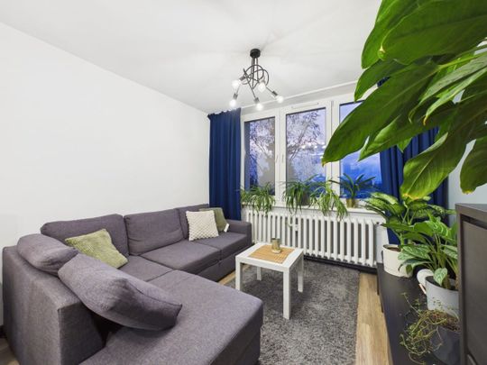 Przytulne dwupokojowe mieszkanie na Koszutce 40.77 m² - Zdjęcie 1