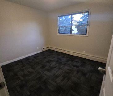 Modern 1 Bedroom Apartment Downtown Available Now - Photo 5