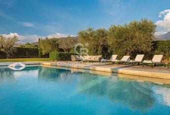 viale apua, Pietrasanta, Tuscany 55045