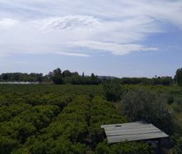 Μονοκατοικία για ενοικίαση - Ασίνη, - Photo 6