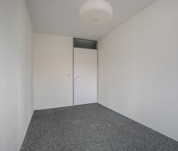 Aalscholverstraat - Foto 5