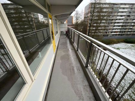 Bovenkruier 38 - Foto 5