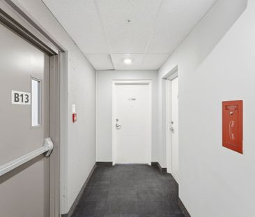 For Lease - 318 SPRUCE Street Unit# 1308, Waterloo, Ontario - Photo 6