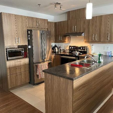 Beau 4 1/2 style condo a Lachute - Photo 3