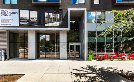 Condo for rent, Montréal (Ville-Marie) - Photo 2