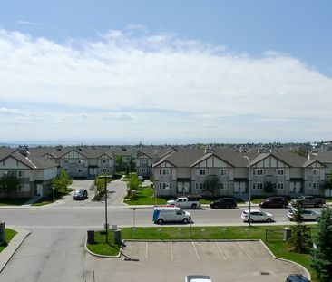 1 Bed Top Floor Condo For Rent In Royal Oak - Photo 6