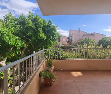 3 Carrer del Pingüí, Municipality of Palma, Balearic Islands 07610 - Photo 4