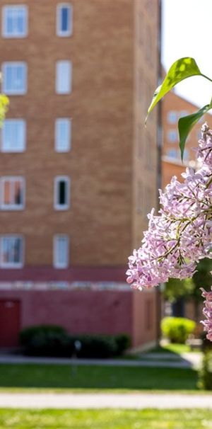 Gamla Lasarettsgatan 19 - Photo 1