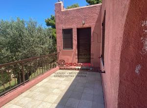 Μονοκατοικία για ενοικίαση - Μαρκόπουλο Ωρωπού, - Photo 4