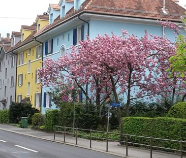 zentrale 2½ Zimmer-Dachwohnung, moderne Küche und Bad - Photo 6