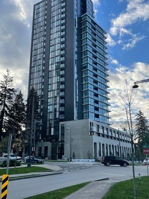 Impressive 1 Bed Condo at the Melrose Tower, with Accessible Amenities’ - Photo 1