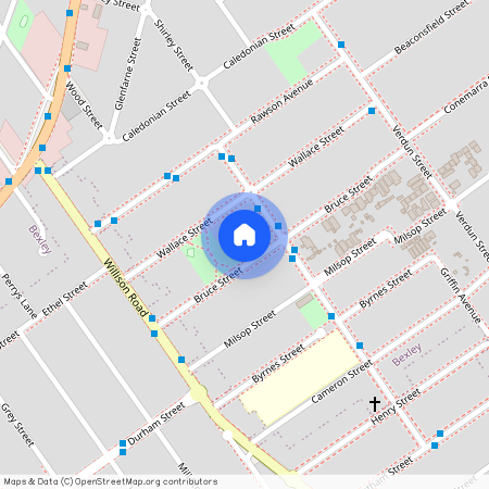 48 Bruce Street, NSW 2207, Bexley