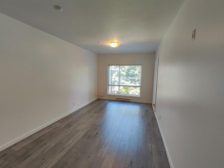 Quattro 1. Spacious Two Bedroom with Parking and Storage - Photo 3