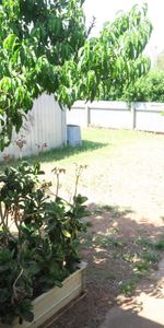 Spacious 3 Bedroom Home - Photo 4