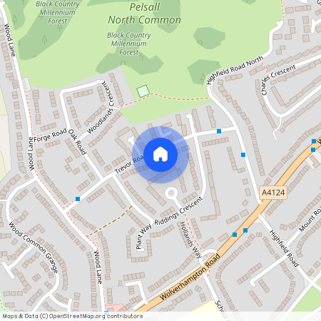 Trevor Road, Walsall WS3