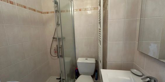 Appartement à louer 1 pièce 20.28m² - Photo 3