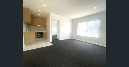 Sparkling Renovated Gem - Photo 5