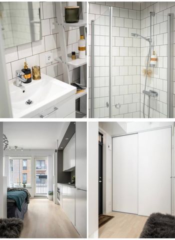 Gaffelseglet, Vega - Photo 5