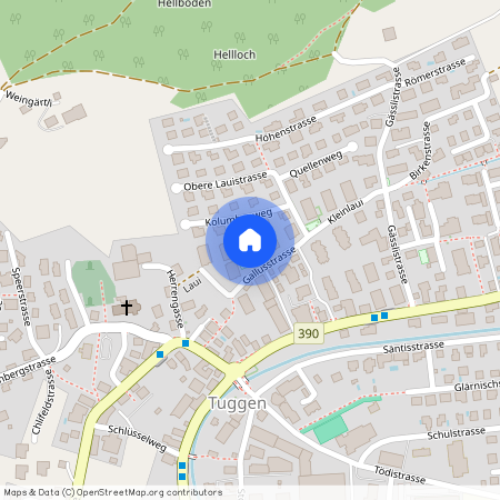 Gallusstrasse 6, 8856 Tuggen