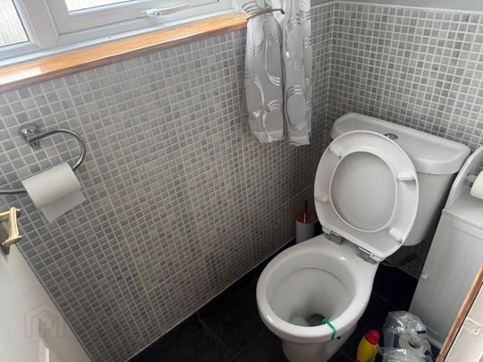 10 Meadowbrook, Tullygally, Craigavon, BT65 5AA - Photo 1