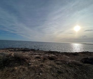 98 Av. de Miramar, Sa Ràpita, Balearic Islands 07639 - Photo 3