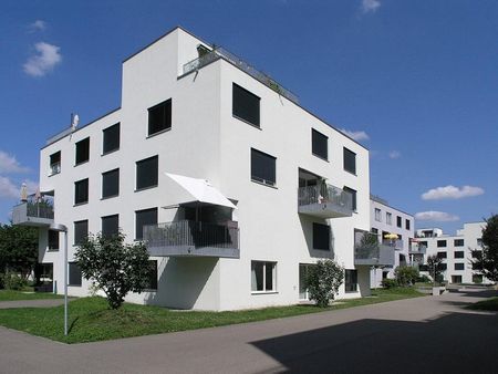 Stilvoll leben nähe Zürich - exklusiv an der Roosstrasse - Foto 4