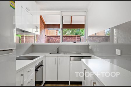 North Adelaide 2 Bedroom Unit! - Photo 2