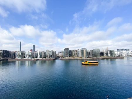 Unique apartment with magnificent views of Copenhagen Harbor and skyline - Photo 3