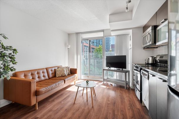 For Lease - 68 Abell Street Unit# 307, Toronto, Ontario - Photo 1