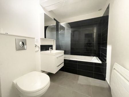 Appartement F1 à louer sur Troyes dans le département de l'Aube - Photo 4