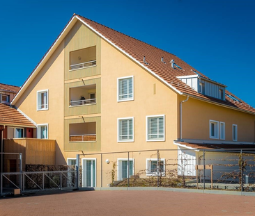 1 MONAT MIETZINSFREIE ZEIT - 2.5-ZIMMER DACHWOHNUNG MIT BALKON - Foto 4