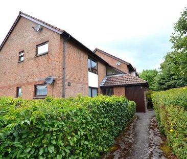 Pennywell Gardens, Ashley, Hampshire, BH25 - Photo 5