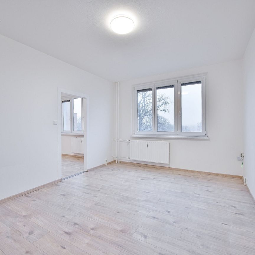 Pronájem bytu 1+1 38 m² - Photo 1