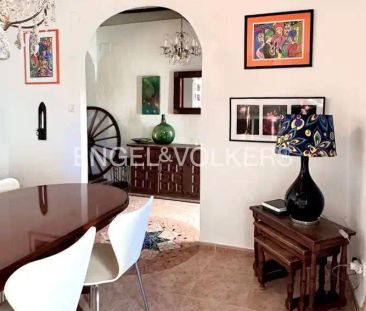 Oliva - Photo 5