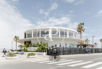 Study in the Cabañal