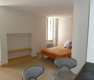 Location appartement studio 1 pièce 19 m² à Mende (48000) - Photo 1